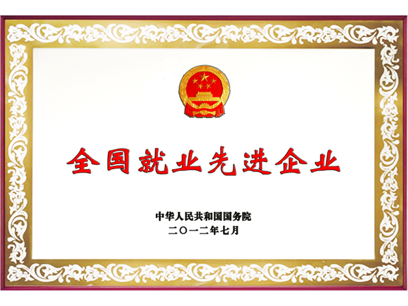 全國就業(yè)先進企業(yè)