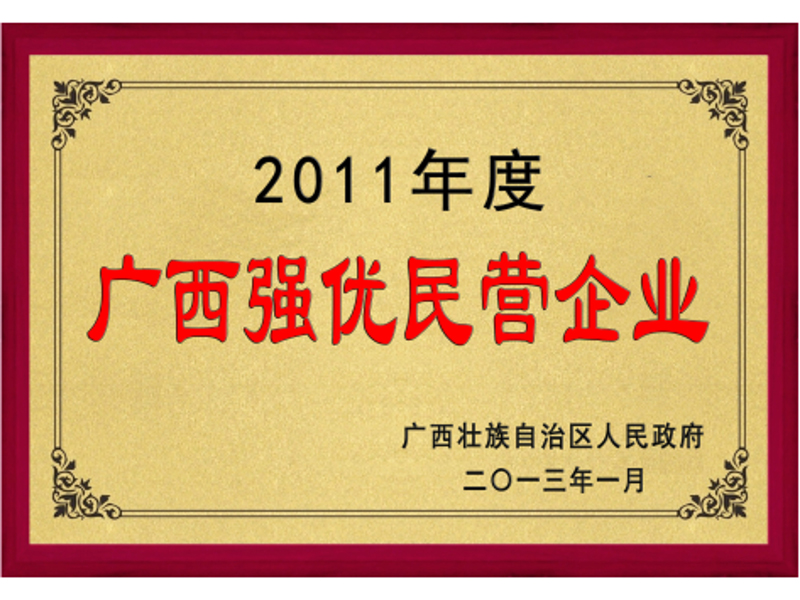 廣西強優(yōu)民營企業(yè)
